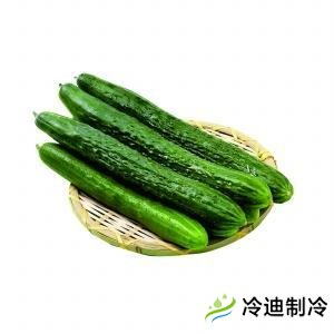 黃瓜冷庫的儲存方式和溫度(圖1) 黃瓜冷庫的儲存方式和溫度(圖1)