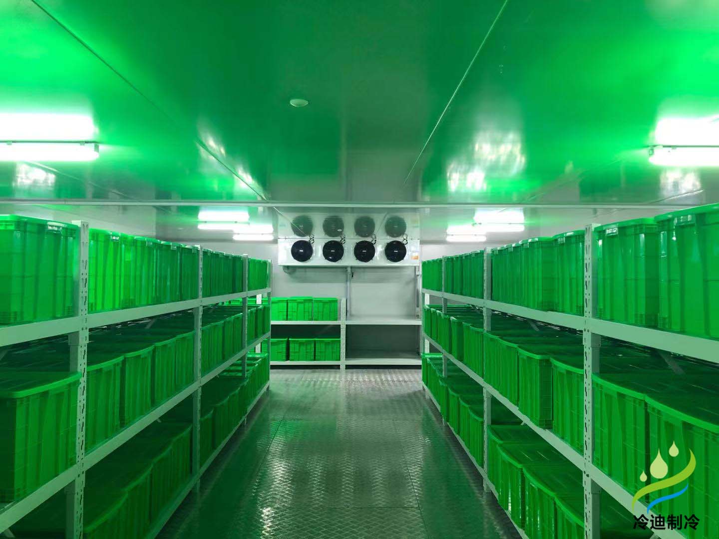 冷藏庫造價(jià)