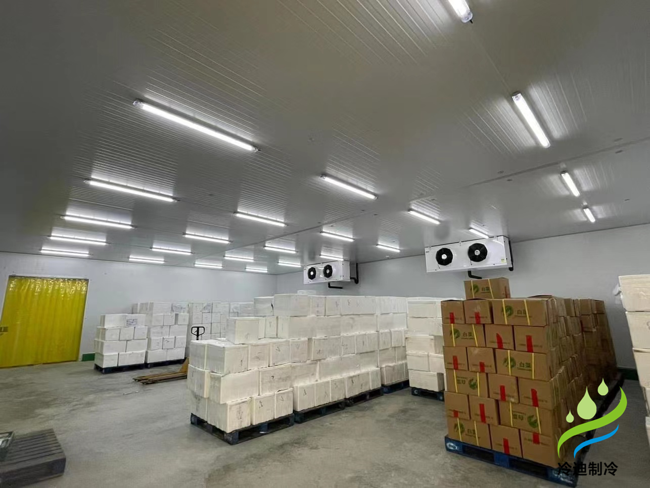 建造1000平方果蔬保鮮冷庫造價多少錢？